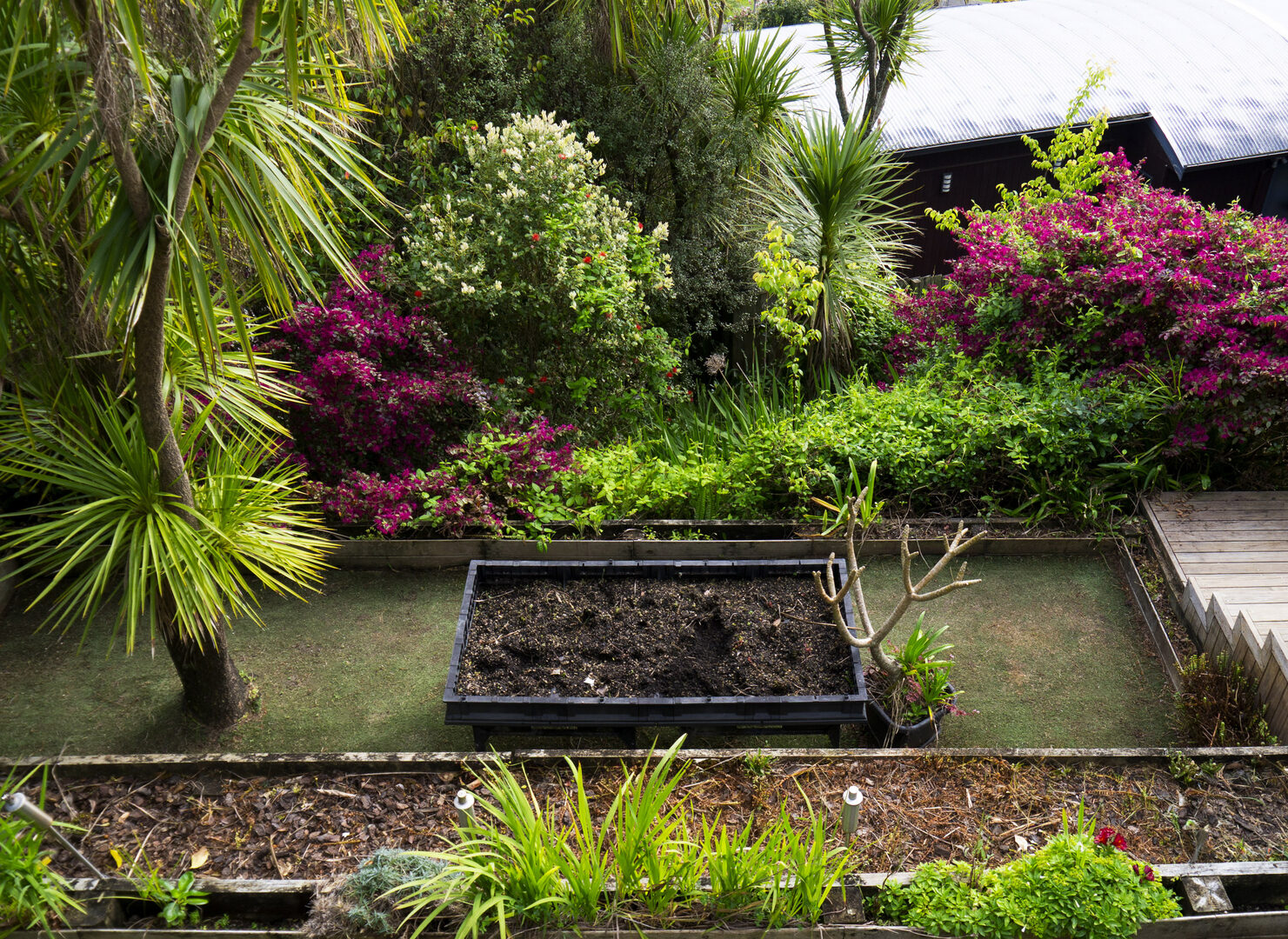 Garden after transformation by ImpressioNZ